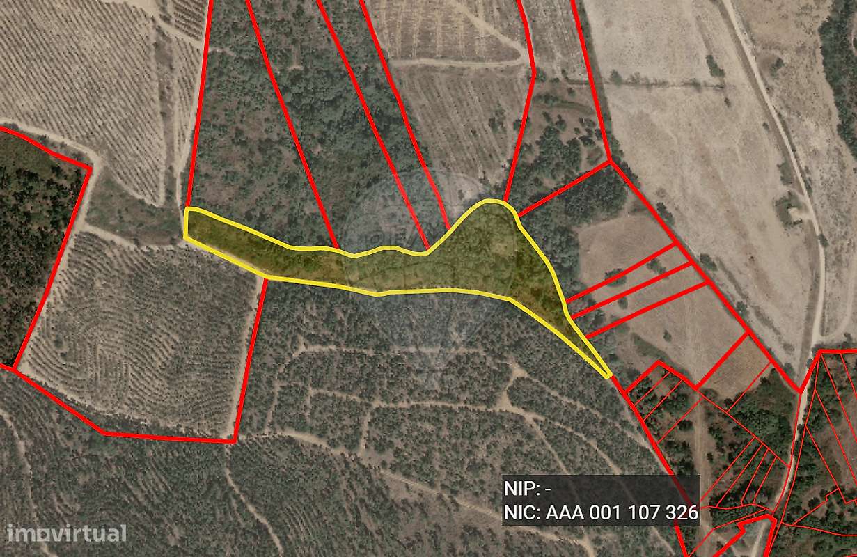 Terreno  para venda - Grande imagem: 4/4