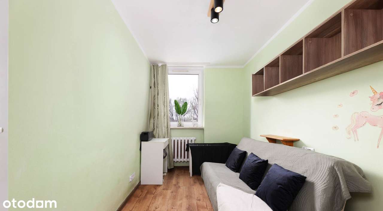 2M| dla pary/singla lub inwestycyjnie_piwnica| TYLKO U NAS!-0