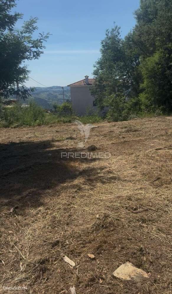 Lote de Construção - Alto de Fridão - Grande imagem: 5/5