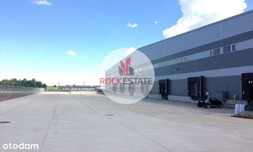 Magazyn Pęcice 3900 m2 od zaraz - Pełny obrazek: 5/8