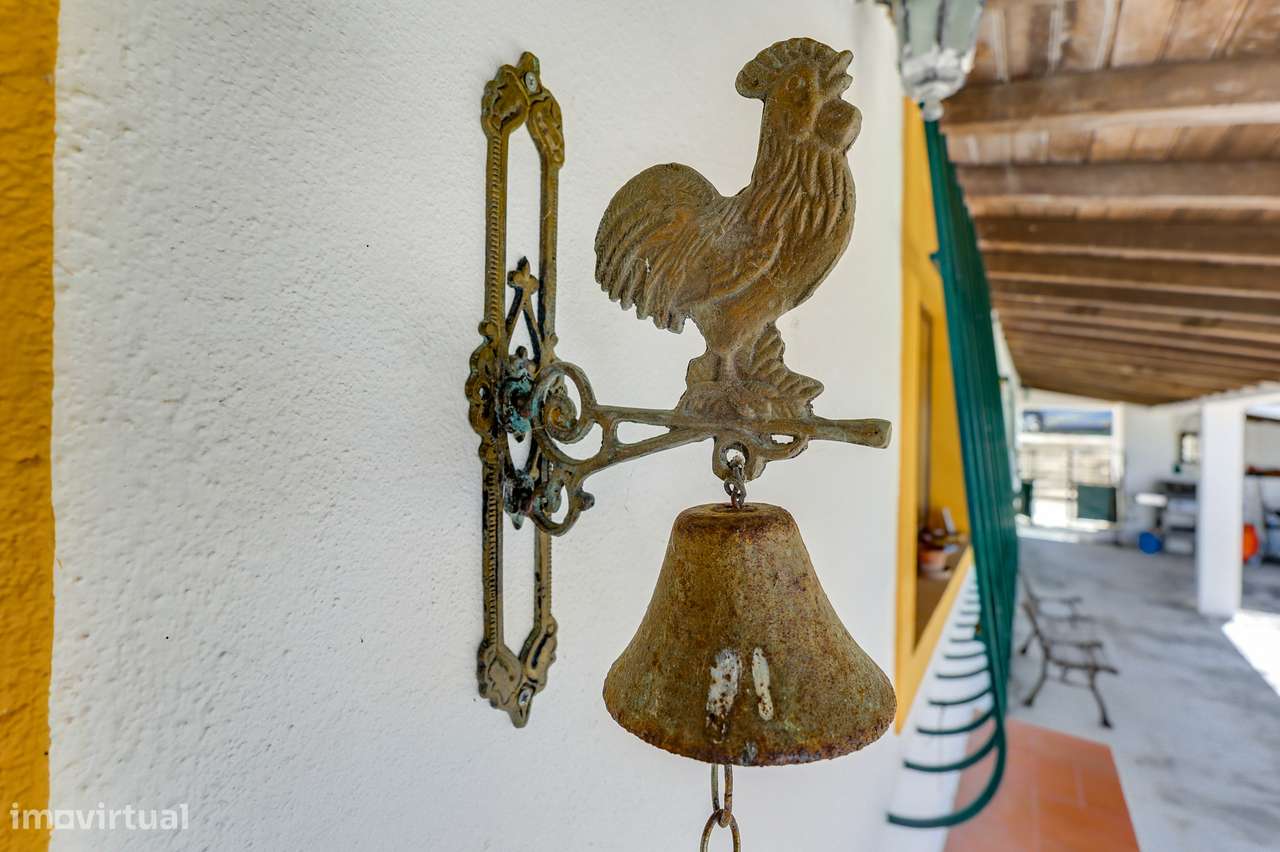 Quinta com Piscina e 2 Hectares a 25 km de Lisboa-15