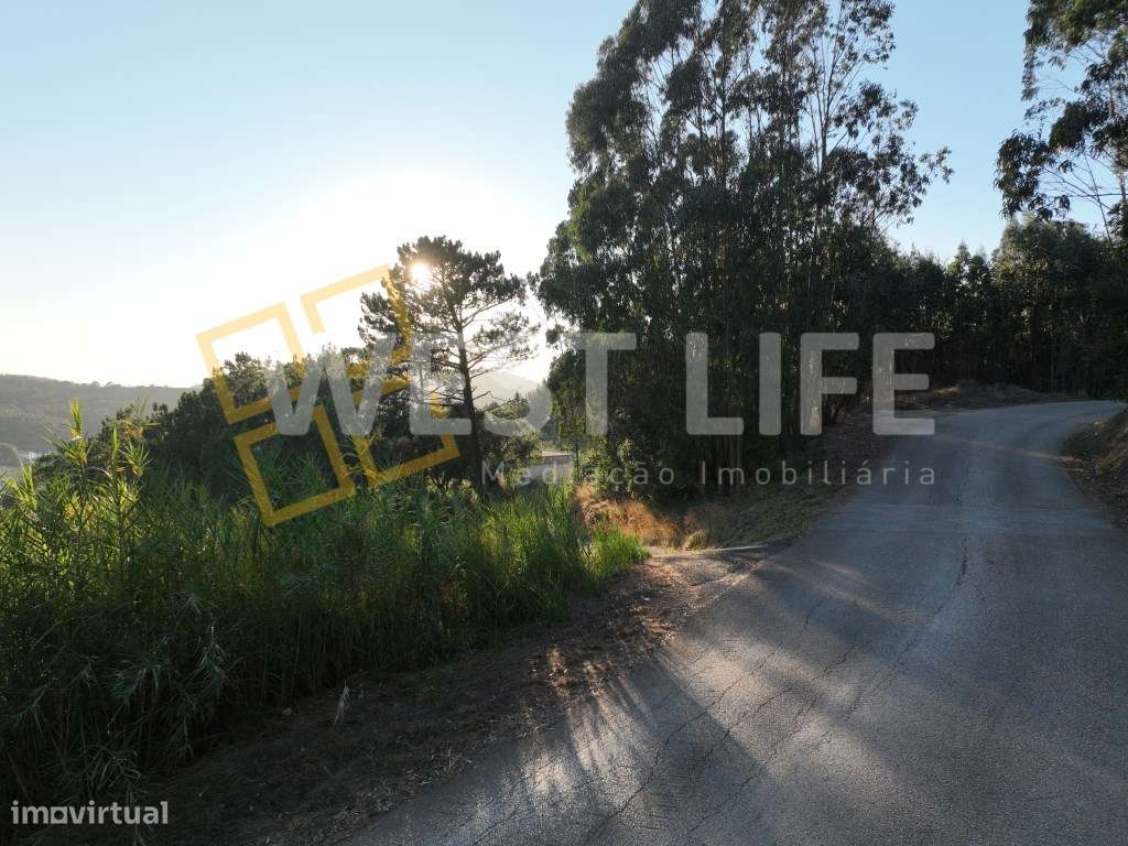 Terreno Rústico com 6598m2 - Bons acessos - Eucaliptal - Junto a in... - Grande imagem: 4/13