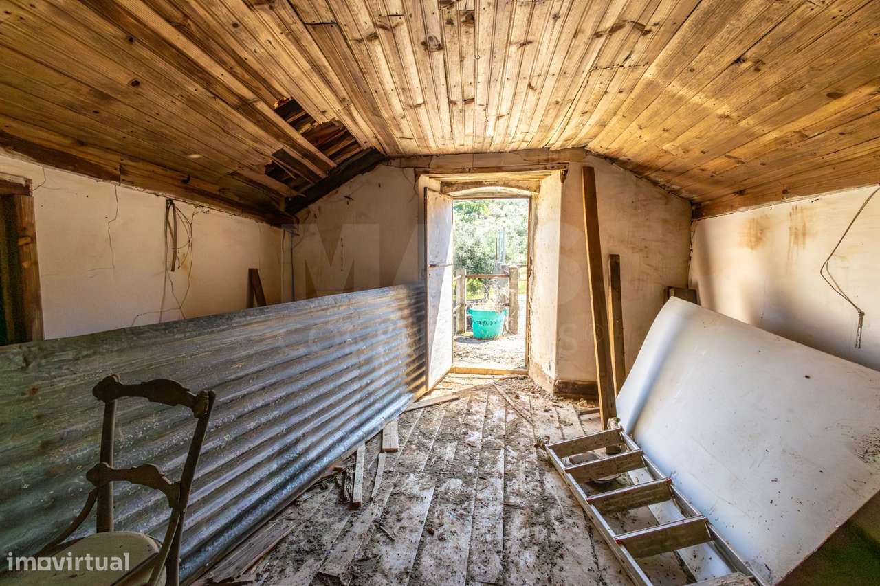 PROPRIEDADE DE CARÁTER NA N2 | 400 m² DE CONSTRUÇÃO, OLIVAL E POTEN...-33