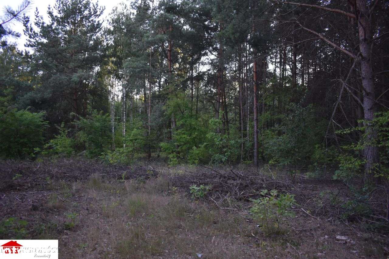 Pod pensjonat w otulinie lasu 37 km od Warszawy-0