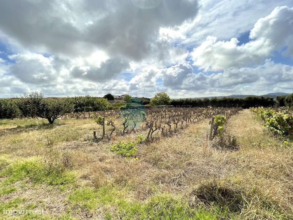Terreno plano com 7913,70 m2 a 3 minutos do centro de Torres Vedras - Grande imagem: 4/7