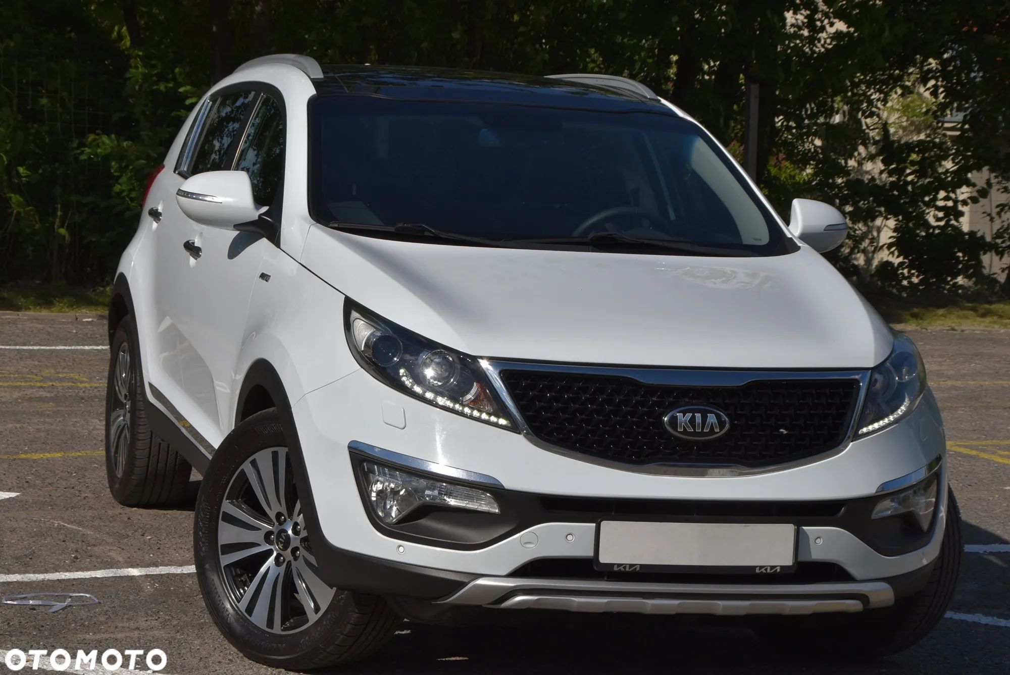 Kia Sportage - 1