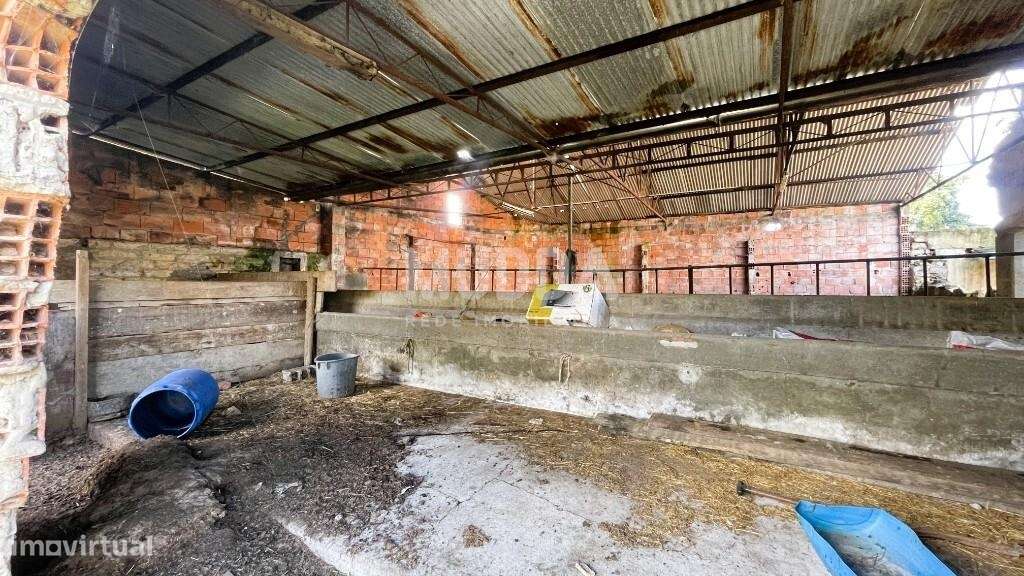 Terreno Urbano para construção em altura, Pardelhas, Murtosa - Grande imagem: 5/6