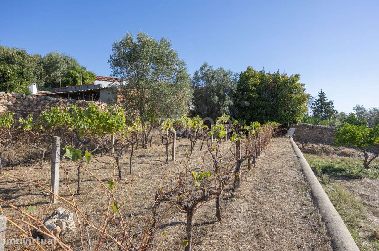 Lagar || Montalvo, Constância-21