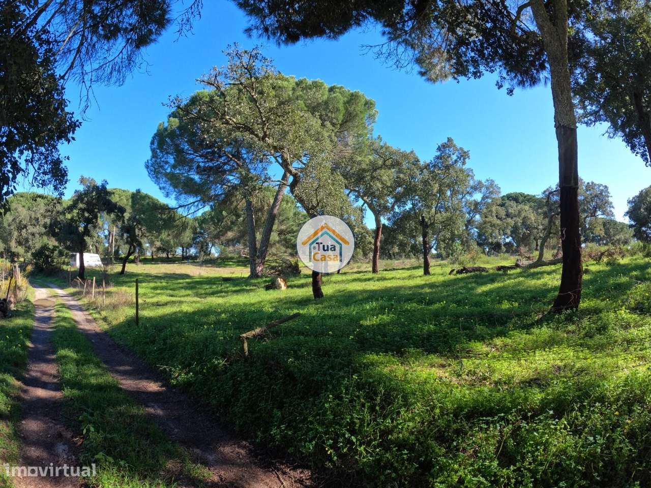 Terreno Rústico de 1,75 ha com Montado de Sobreiros – Oportunidade no - Grande imagem: 2/16