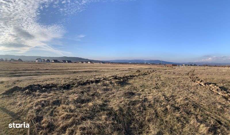 De vanzare teren extravilan cu front stradal de 80 de metri. - Imagine principală: 4/4