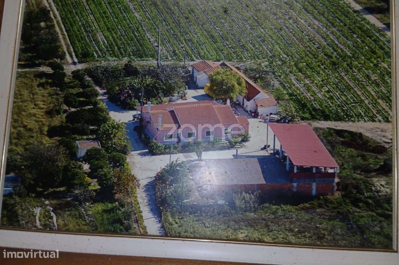 Quinta localizada no Bairro da Margaça, em Poceirão – Águas de Mour... - Grande imagem: 5/15