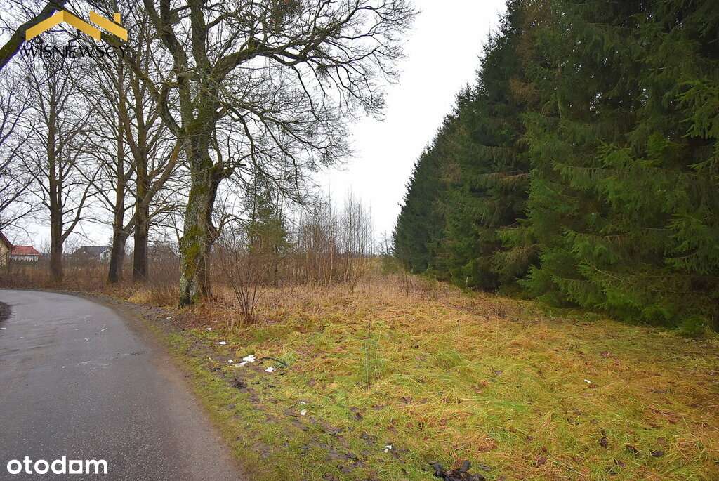 Działka budowlana, uzbrojona, 5000 m2, obok rzeki - Pełny obrazek: 4/7