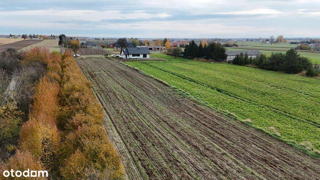 Działka budowlana | I linia zabudowy | 1465m2 - Pełny obrazek: 4/4