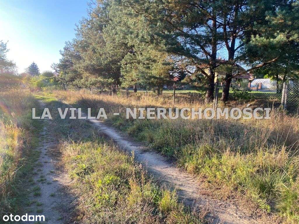 Atrakcyjna lokalizacja, blisko lasu - Pełny obrazek: 3/3