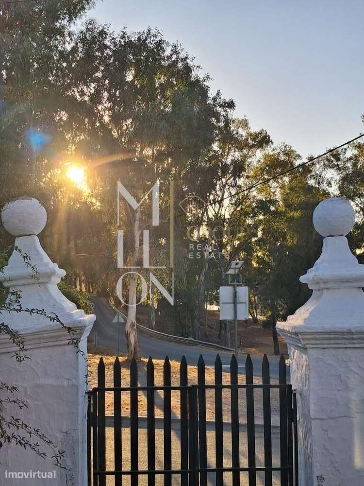 Moradia Típica Alentejana - Grande imagem: 4/57