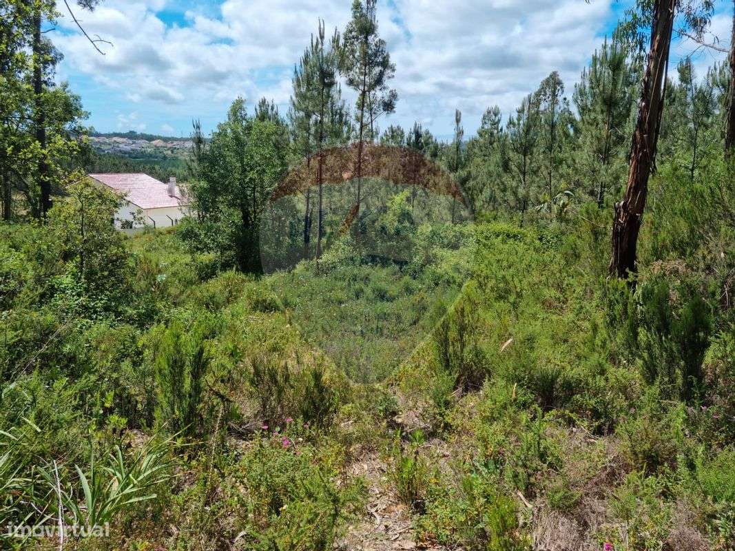 Terreno  para venda - Grande imagem: 4/4