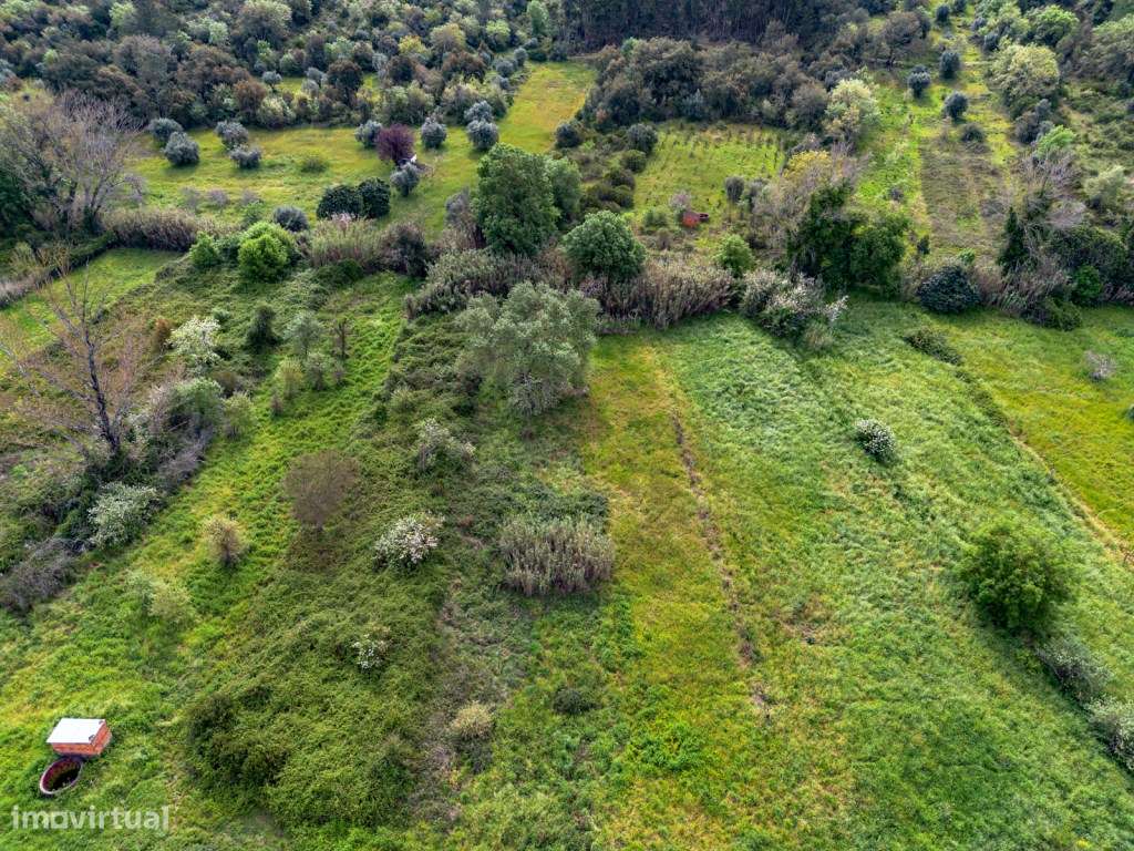 Terreno - Casais das Milhariças, Santarém - Grande imagem: 2/4