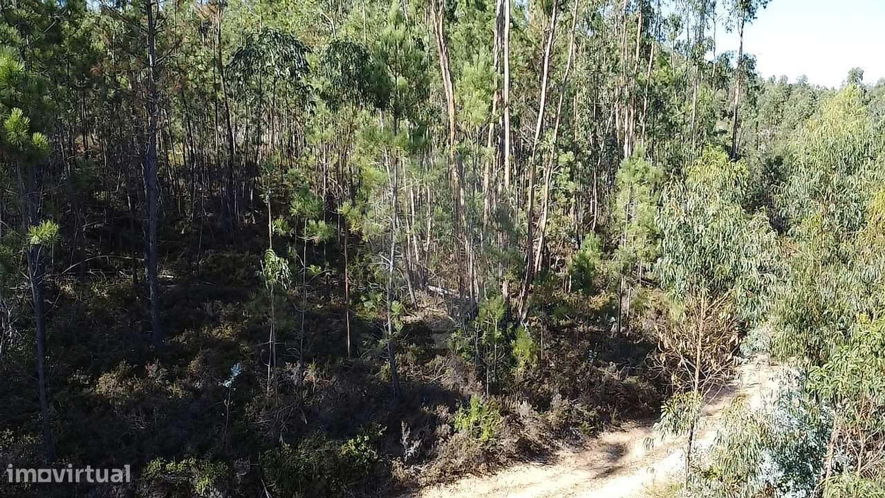 Terreno  para venda - Grande imagem: 4/6