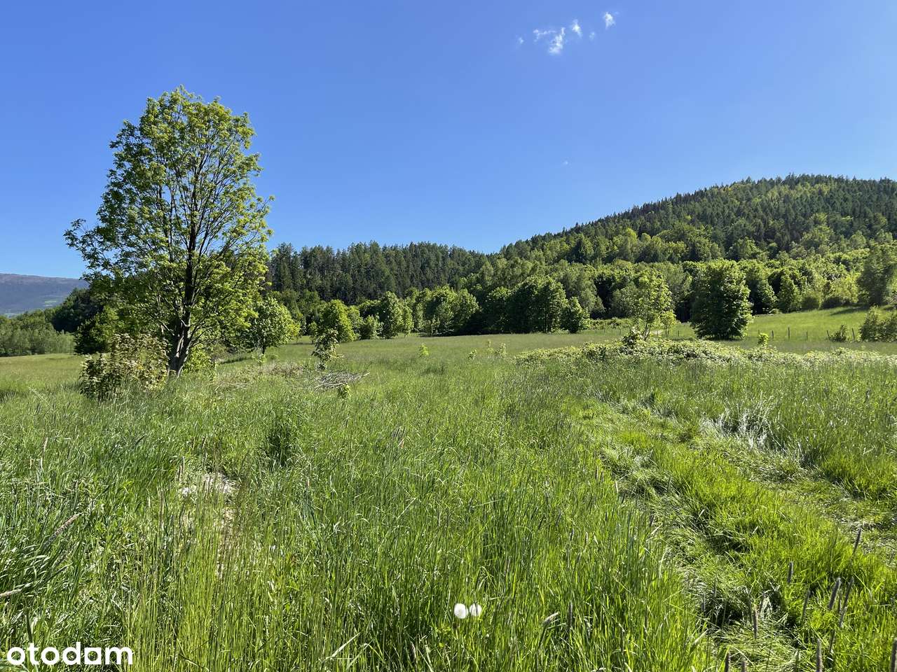 Duży słoneczny grunt przy lesie. Piękne widoki, cisza, spokój, góry!-6