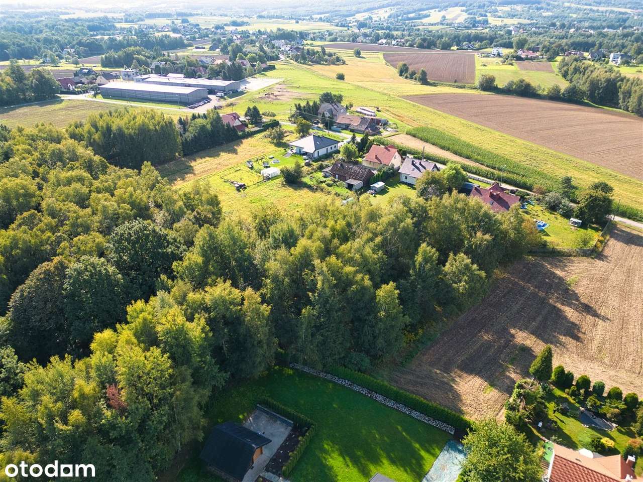 Możliwe wydzielenie - Pełny obrazek: 4/11