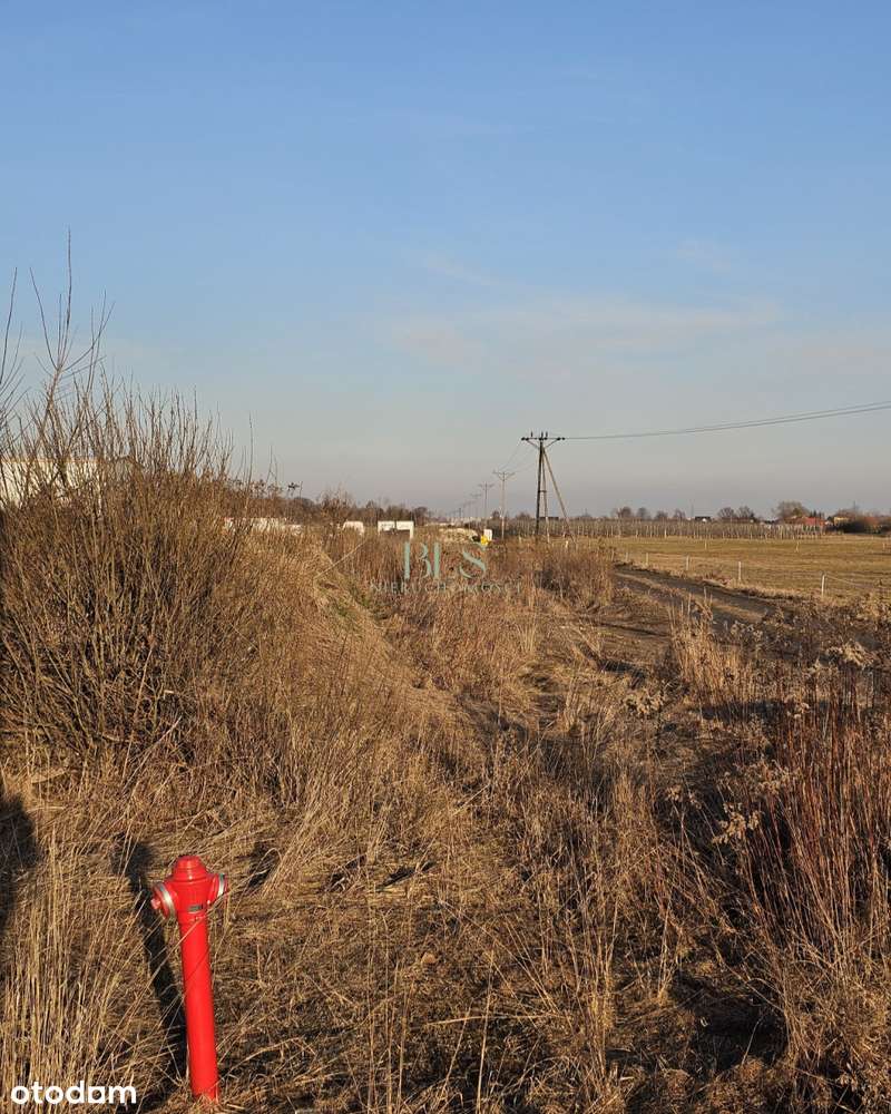 Zabudowa uslugowa, magazynowa-5