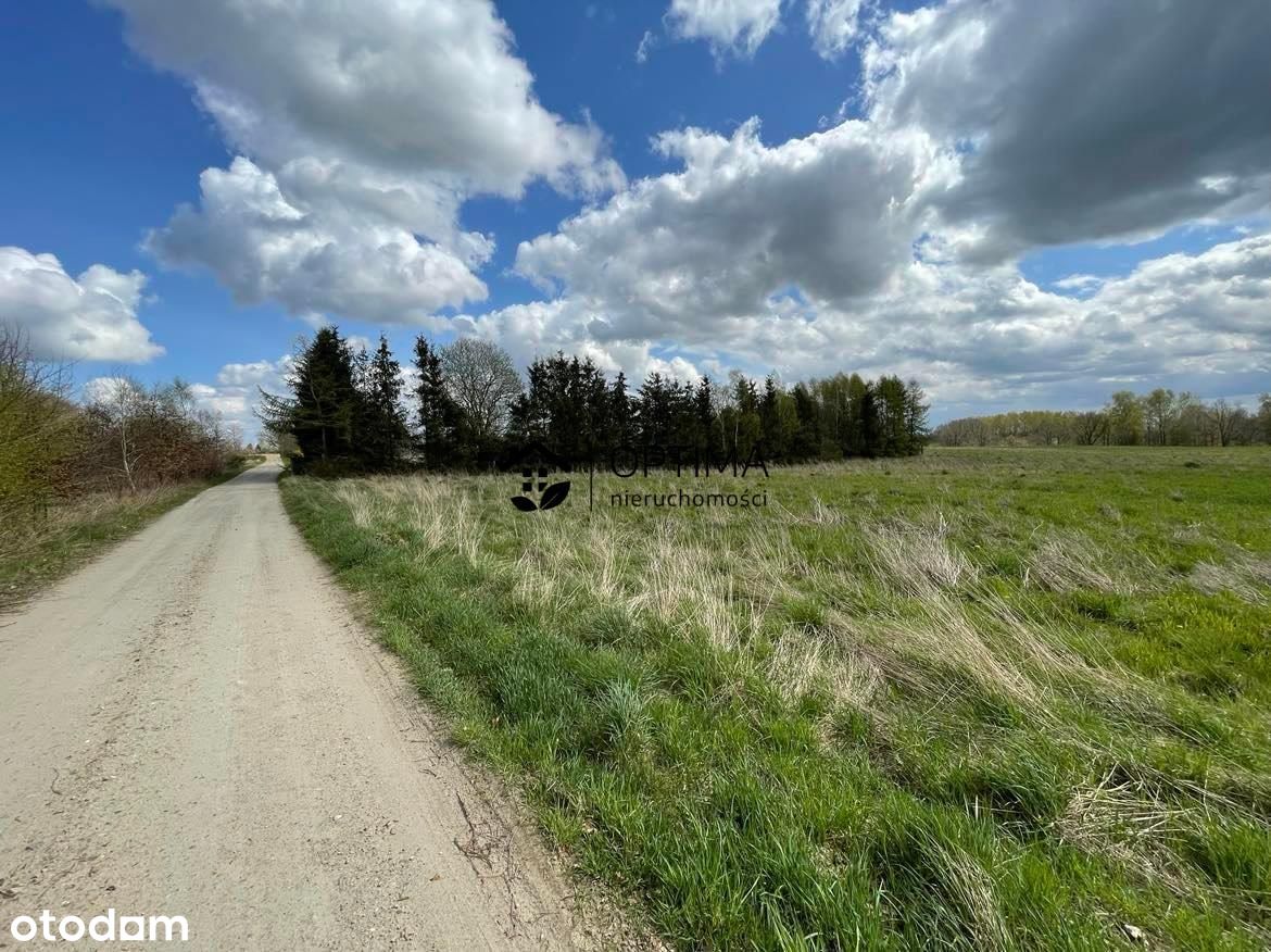 Działka 1218m2. Cisza, spokój i dużo zieleni