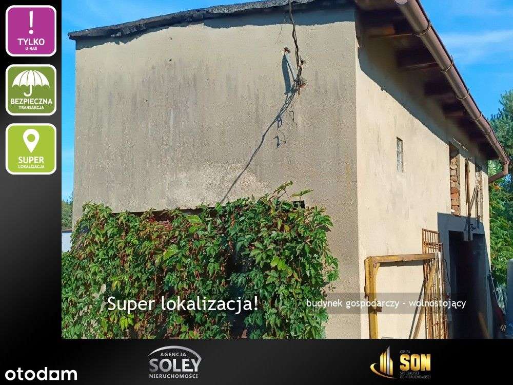 Wolnostojący-Rybnik Gotartowice-super lokalizacja-9