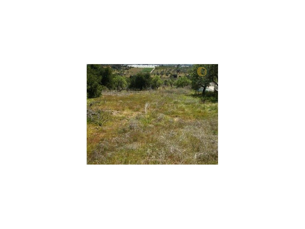 Terreno rústico com 4160 m2 em Moncarapacho - Grande imagem: 3/3