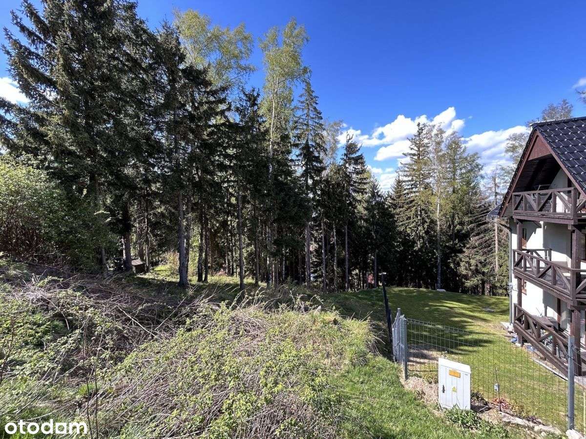 Twoje miejsce w sercu gór! - Pełny obrazek: 5/18