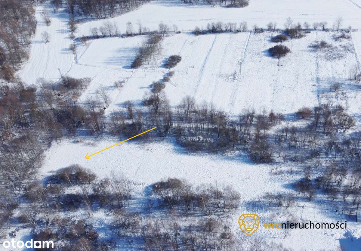 Ustronna z klimatem działka na Pogórzu Izerskim/WZ - Pełny obrazek: 5/11