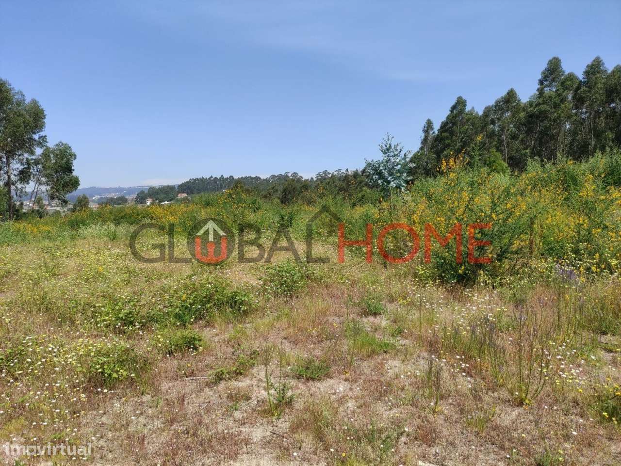 TERRENO VILELA - PAREDES - Grande imagem: 5/11