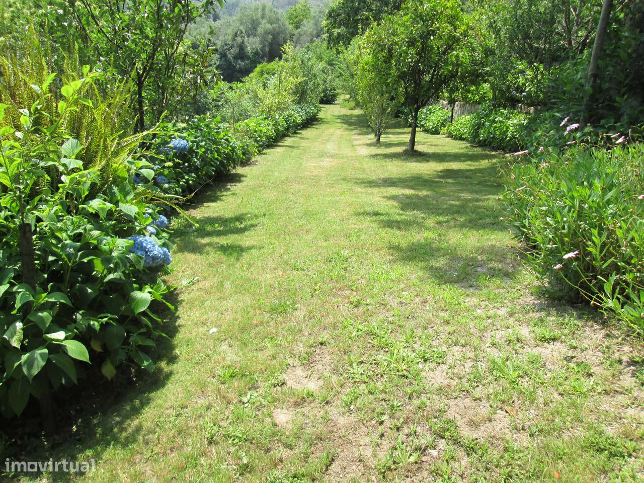 Quintinha no Minho Ponte de Lima * 10.000 m2 * a 90 Km do Porto-40