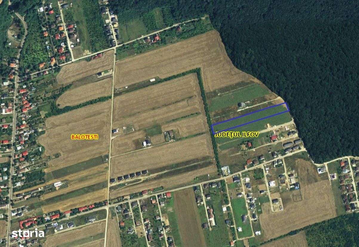 Balotesti- Dumbraveni- Padure - Imagine principală: 2/3