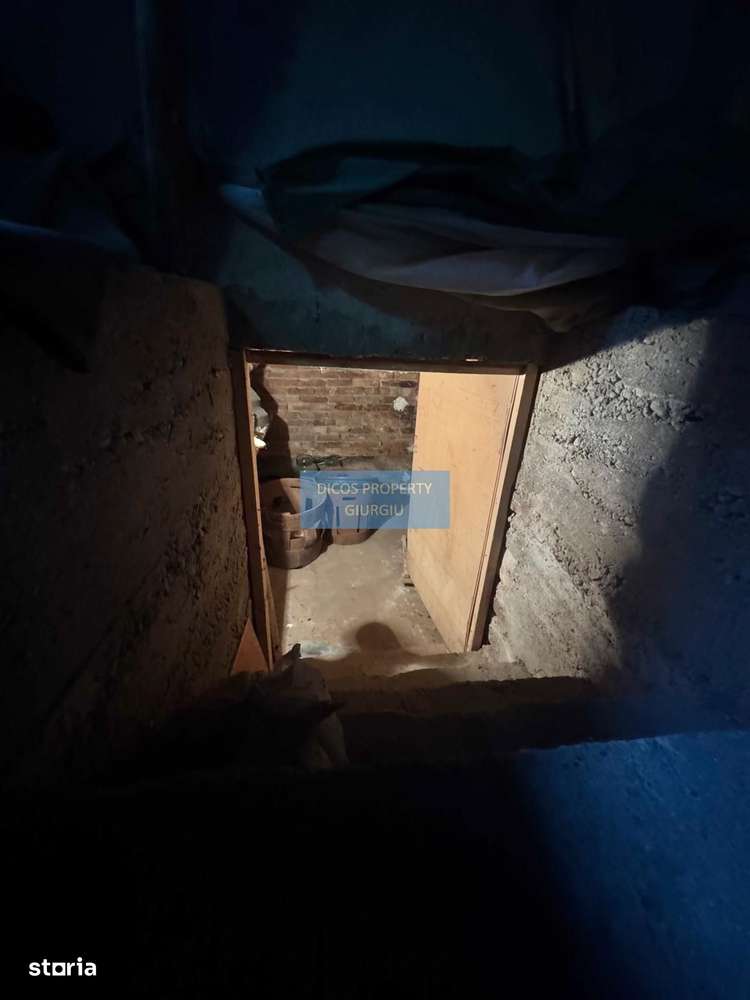 Casă de vânzare  zona Str. Gheorghe Doja, 3 camere-11