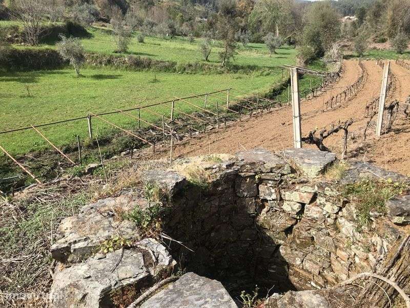Terreno rústico com casa/adega - Grande imagem: 4/8
