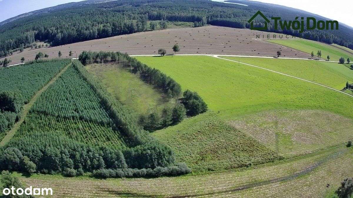 Działki przy lesie - Pełny obrazek: 3/6