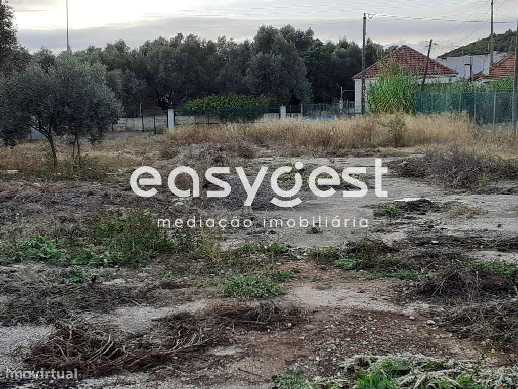 Terreno plano alcatroado para Arrendamento em Sobralinho, EN10 - Grande imagem: 4/4