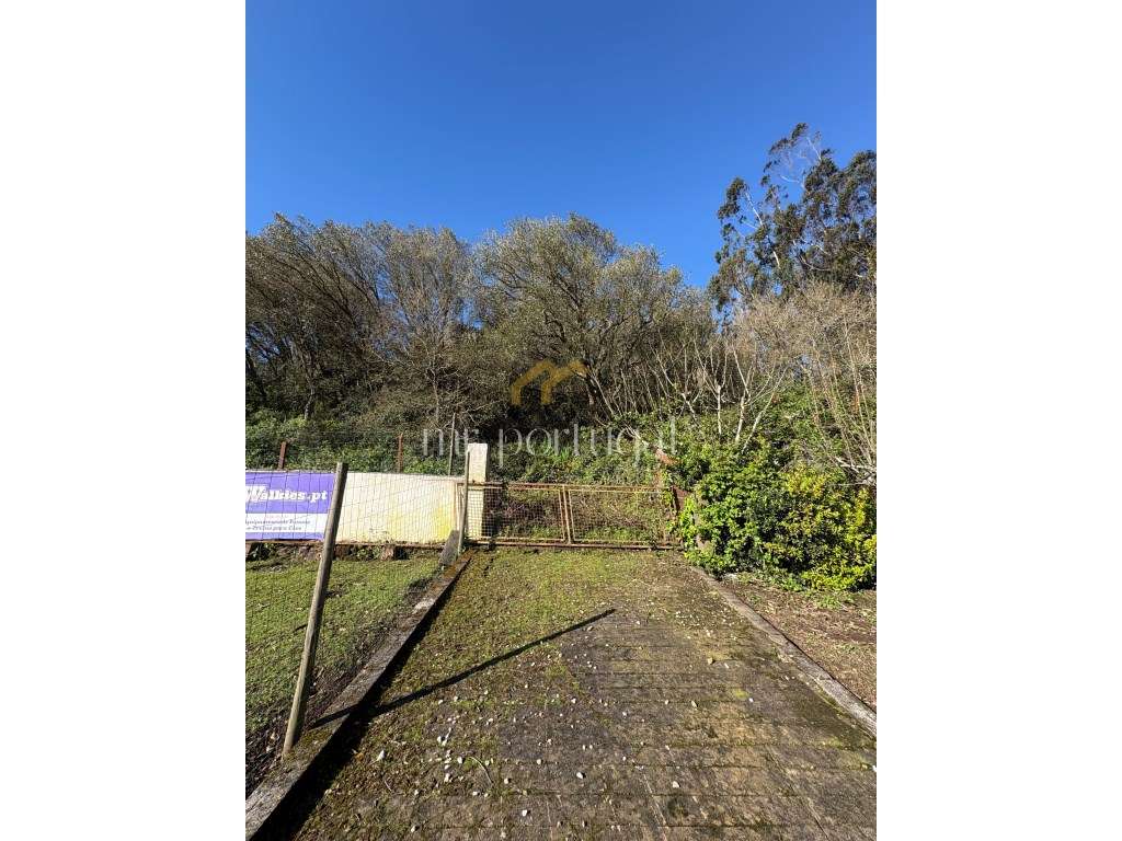 Quintinha em Mafra com 5.375m² | Moradia T2 + Potencial de Construç...-13