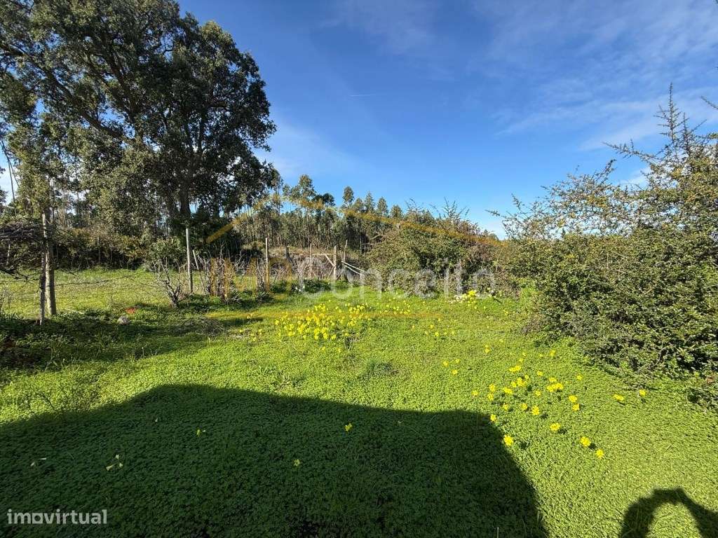 Terreno Urbano | Charneca da Meia Via | Torres Novas - Grande imagem: 2/2
