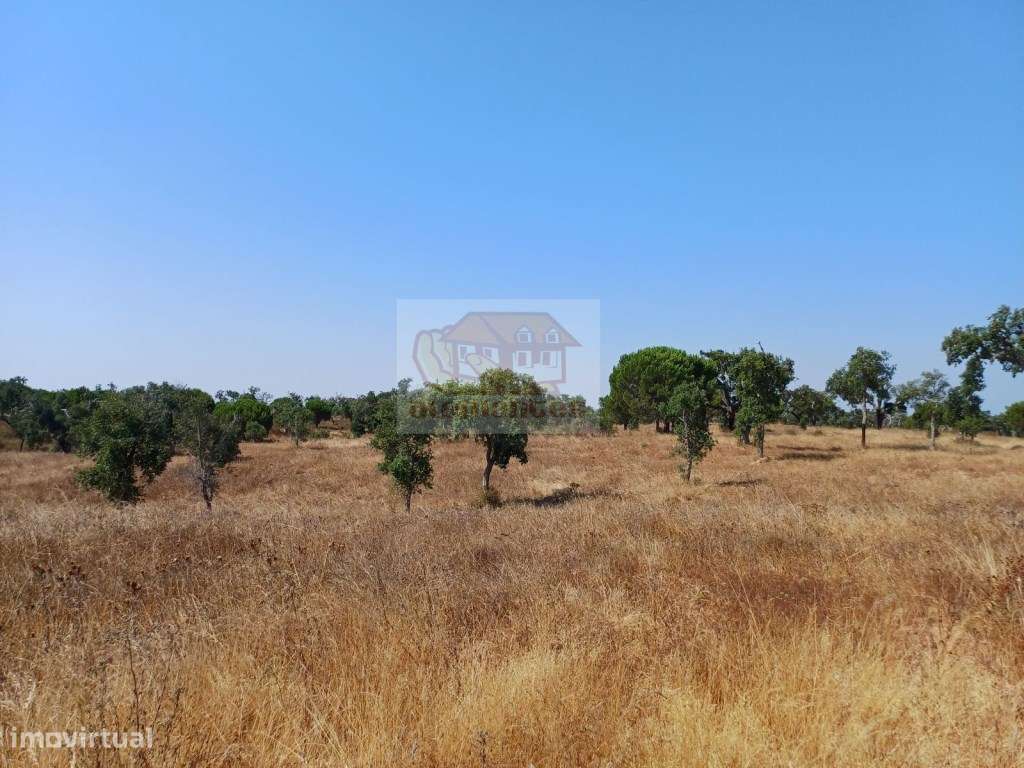 Monte Alentejano com várias ruínas para recuperar - 20 minutos Lago...-8