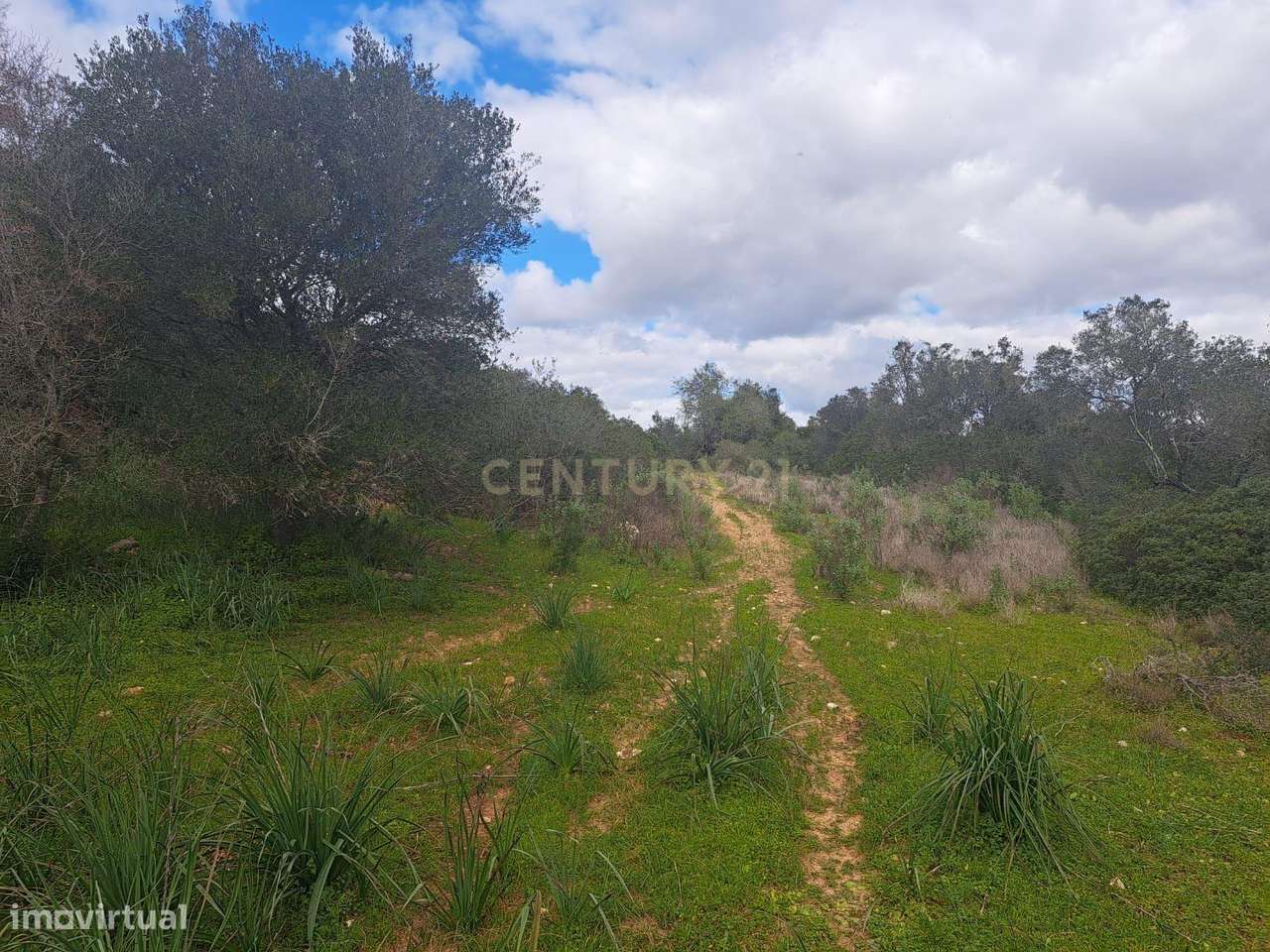 Terreno Rústico com 13.920 m² - Grande imagem: 4/11