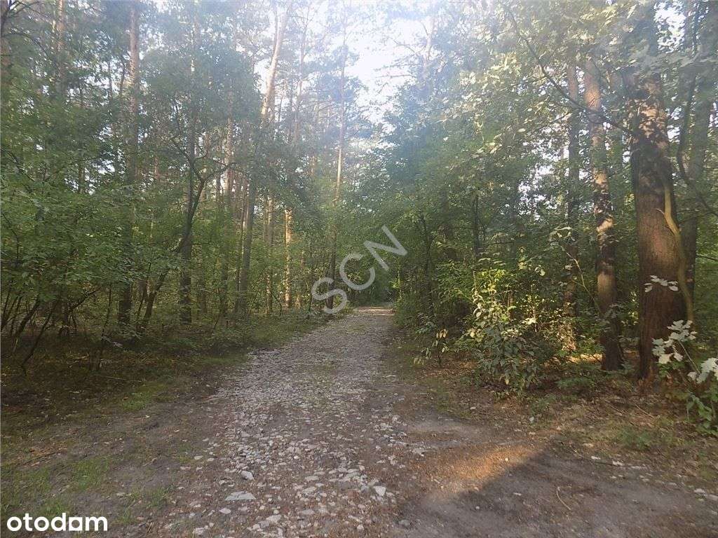 Niezwykłe Miejsce - Oaza ciszy i spokoju-1