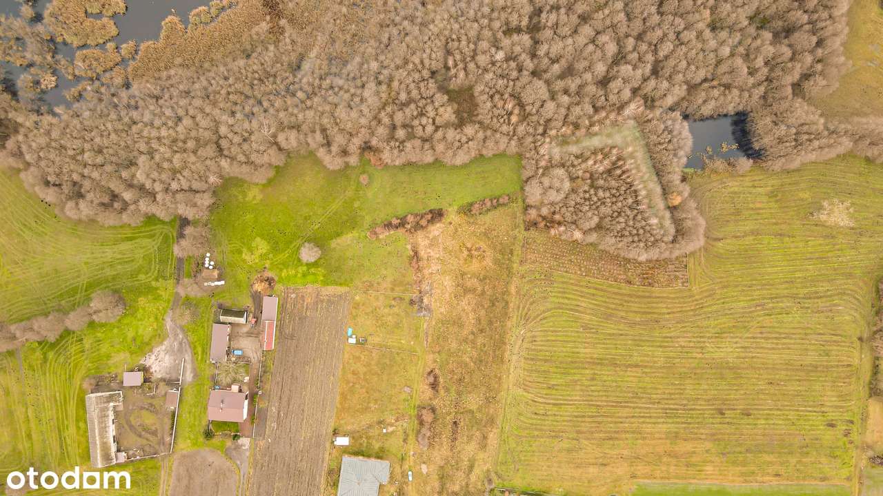 2 działki pod Koninem (2992 m²) – Krągola. SUPER CENA: 99 999 zł! - Pełny obrazek: 4/9