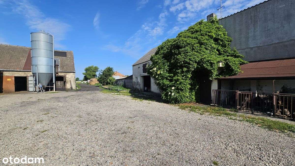 Dom (270  mkw.) budynki gospodarcze, działka (70a) - Pełny obrazek: 4/19