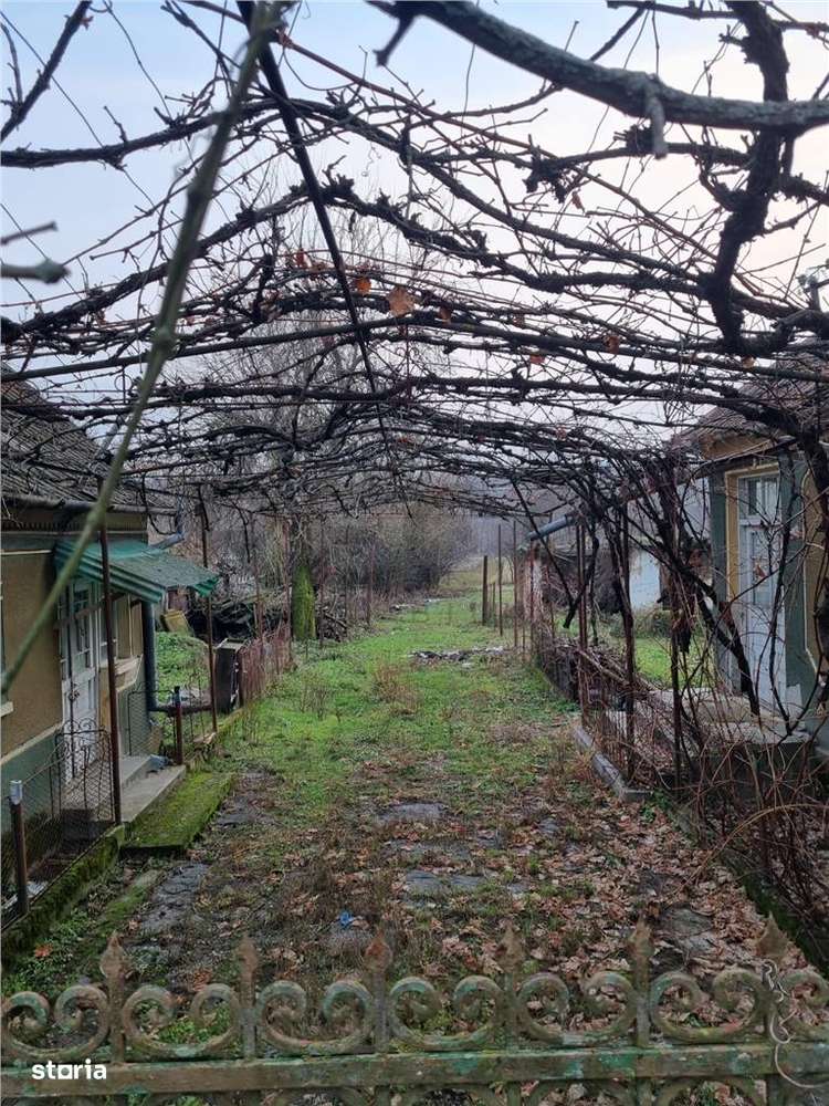 RECO Casa batraneasca cu teren generos in localitatea Tria-2