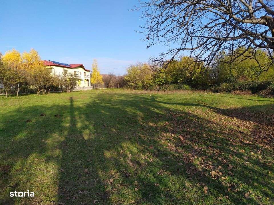 Proprietar Teren intravilan DE VÂNZARE (negociabil) sat Bobolia -PH - Imagine principală: 5/9