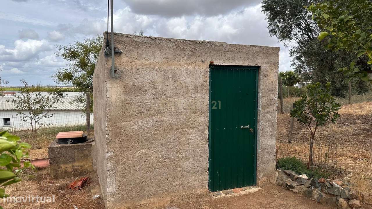 Quinta em Trigaches — 1 hectare em comunhão com a natureza-19