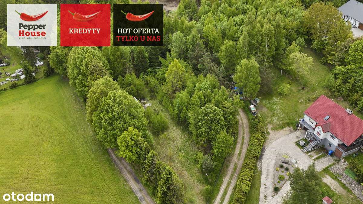 Kielno – działka budowlana z potencjałem usługowym - Pełny obrazek: 2/20