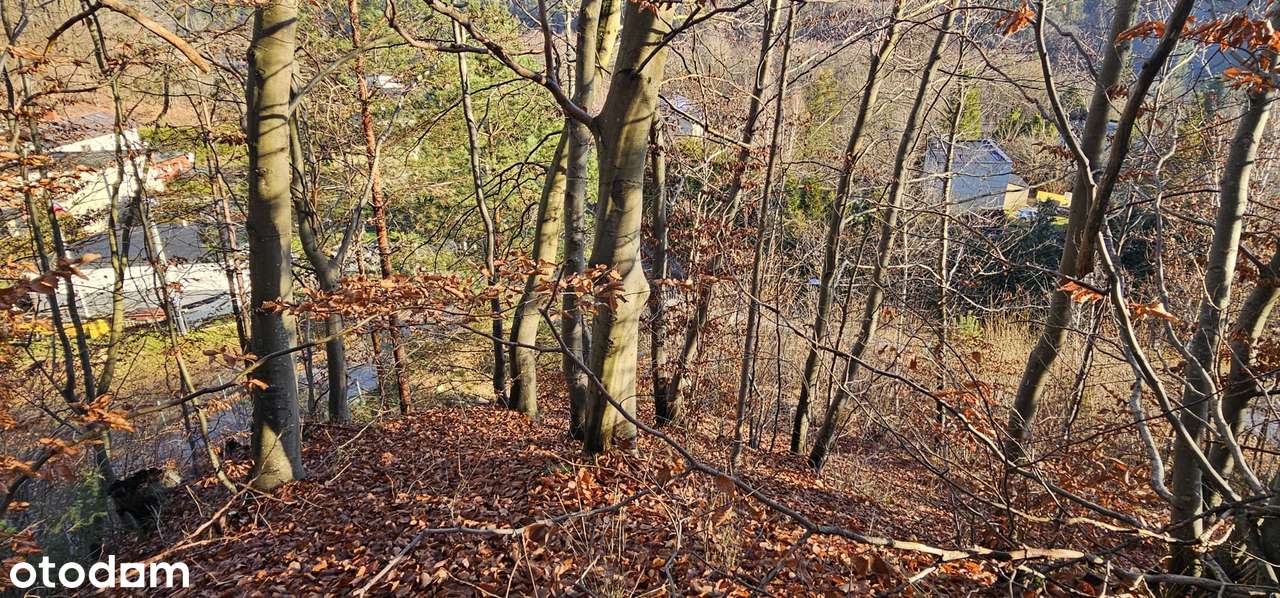 Działka budowlana Łapino - Kolbudy. Nad jeziorem. - Pełny obrazek: 5/19