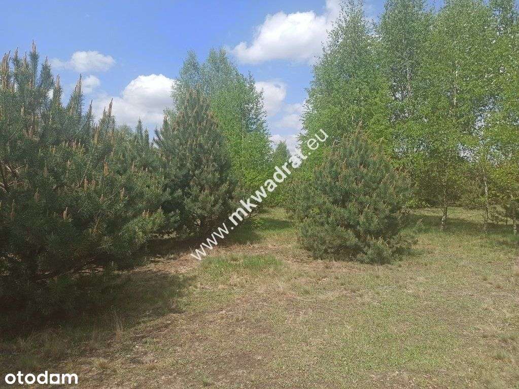 ⭐ ⭐ ⭐ ⭐ ⭐ Super działka 1200m2 Media Szkoła Mpzp!-3